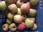 Appels goudrenetten en sterappels, Diversen, Levensmiddelen, Ophalen