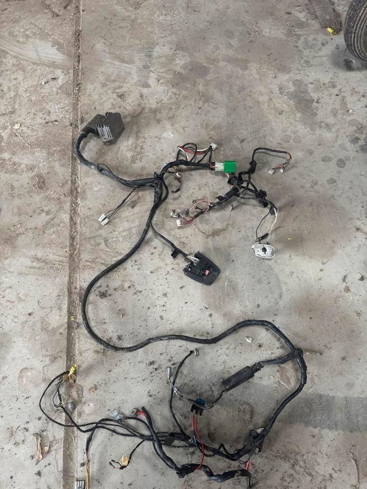 Kabelboom Typhoon 125 (incomplete), Auto-onderdelen, Elektronica en Kabels, Overige automerken, Gebruikt, Ophalen of Verzenden