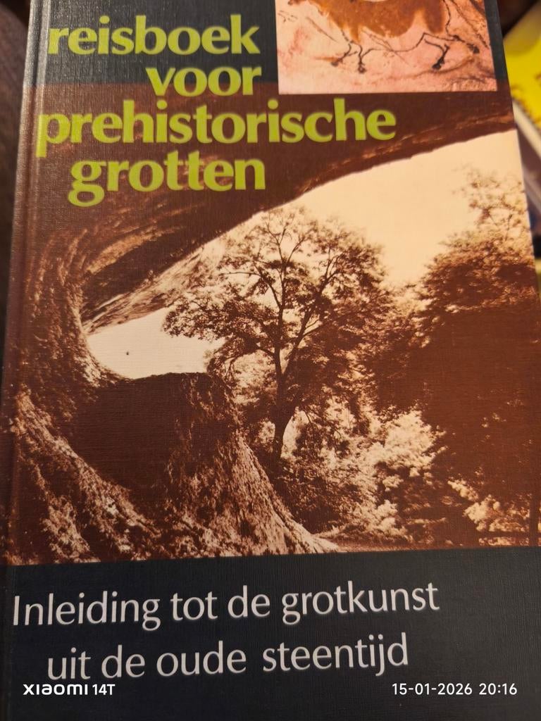 Reisboek Prehistorische Grotten - Inleiding tot grotkunst, Ophalen of Verzenden, Gelezen, Onbekend