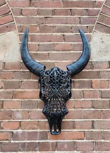 Buffel Schedel Buffalo Skull  beschikbaar voor biedingen
