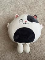 Nieuwe Knuffel Poes, Kinderen en Baby's, Speelgoed | Knuffels en Pluche, Ophalen of Verzenden, Nieuw, Poes