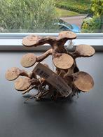 Bonsai Boom Aquarium Decoratie - Nieuw, Dieren en Toebehoren, Ophalen of Verzenden, Nieuw, Plant(en), Steen of Hout
