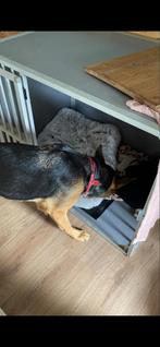 Hundos kamer kennel/bench aluminium kunststof, Dieren en Toebehoren, Hondenbenches, Ophalen of Verzenden, Gebruikt