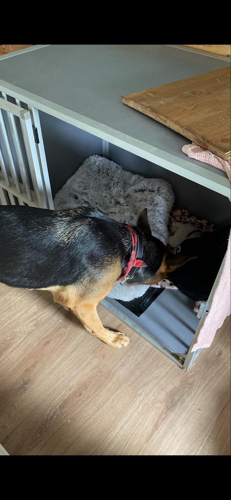 Hundos kamer kennel/bench aluminium kunststof, Dieren en Toebehoren, Hondenbenches, Gebruikt, Ophalen of Verzenden