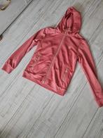 covalliero vest rose kleur maat M 38, Dressuur, Ophalen of Verzenden, Zo goed als nieuw, Dames