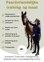 Instructie | training | grondwerk | trailerladen | zadelmak, Gedragstraining