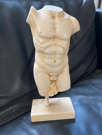 Torso Beeld Mannelijk Lichaam beschikbaar voor biedingen