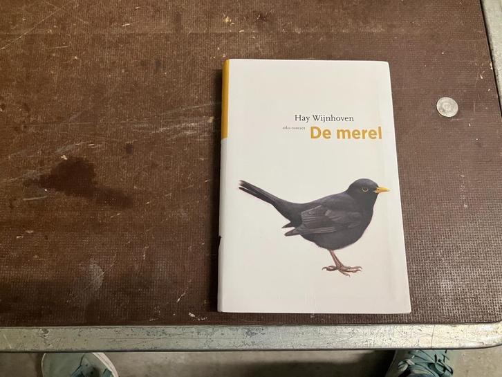 vogel merel, Boeken, Dieren en Huisdieren, Zo goed als nieuw, Vogels, Ophalen