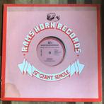 The Flirts - 12 inch maxi single - Passion, Ophalen of Verzenden, 1980 tot 2000, Gebruikt