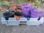 Coca Cola Krat - Plantenbak voor 24 Potjes, Kunststof, Tuin, Ophalen of Verzenden, Zo goed als nieuw