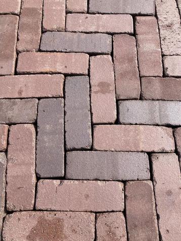 Dikformaat paars (P36) beschikbaar voor biedingen