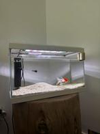 Goudvis incl toebehoren, Dieren en Toebehoren, Ophalen, Zo goed als nieuw, Leeg aquarium
