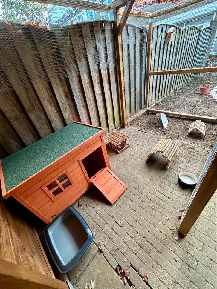 Vakantie opvang konijnen, Dieren en Toebehoren, Konijnen, Meerdere dieren