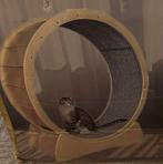 Loopwiel hout kat poes kitten houten wiel nieuw in de doos, Ophalen, Nieuw, Overig speelgoed