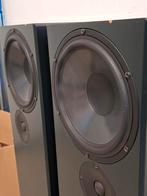 Peerless Flatline transmission-line luidspreker., Audio, Tv en Foto, Luidsprekers, Gebruikt, 60 tot 120 watt, Front, Rear of Stereo speakers