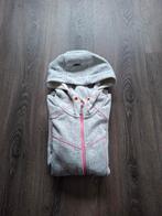 Nieuw gemêleerd vest Lichtgrijs & Roze, Ophalen of Verzenden, Nieuw, Maat 38/40 (M), Roze