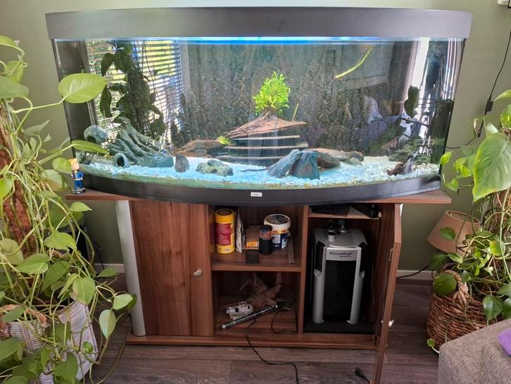 Juwel Aquarium compleet met Alles, Dieren en Toebehoren, Vissen | Aquaria en Toebehoren, Gebruikt, Leeg aquarium, Ophalen