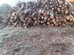 Dennen en coniferen haardhout, Minder dan 3 m³, Ophalen