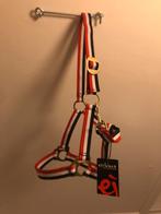 Nieuw Halster Mt Pony met Messing Werk Rood Wit Blauw, Ophalen of Verzenden, Nieuw, Overige soorten