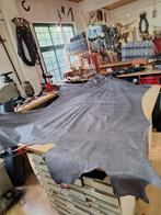 Zeer grootte Reptiel huid, Leguaan, natuurlijke kleur, Overige kleuren, 120 cm of meer, Leer of Kunstleer, Ophalen of Verzenden