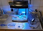 Te koop super fish aqarium met alles erbij 30 x 30 x 34 cm, Dieren en Toebehoren, Vissen | Aquaria en Toebehoren, Ophalen, Nieuw