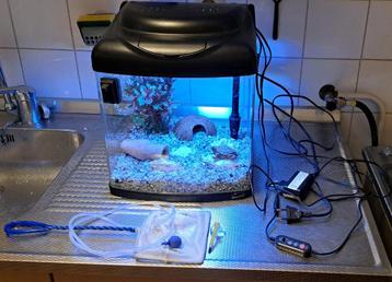 Te koop super fish aqarium met alles erbij 30 x 30 x 34 cm beschikbaar voor biedingen