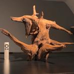 Uniek stuk Kienhout / Driftwood / Spiderwood, Hout Decoratie, Dieren en Toebehoren, Vissen | Aquaria en Toebehoren, Ophalen of Verzenden