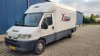 NL BUS|1 EIG|Citroen Jumper poly opbouw meubelbak, Auto's, Bestelauto's, Stof, Zwart, 4 cilinders, 2000 kg