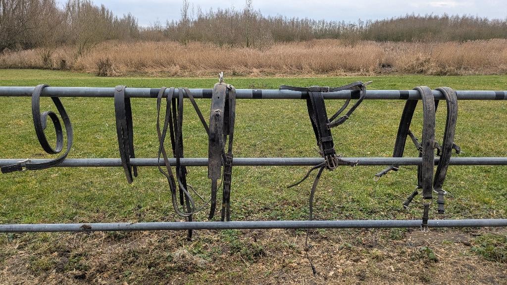 Tuig onderdelen kleine full / cob, Ophalen, Gebruikt, Overige soorten