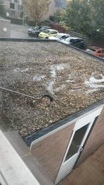Gratis ophalen grind, Tuin en Terras, Ophalen of Verzenden, Gebruikt