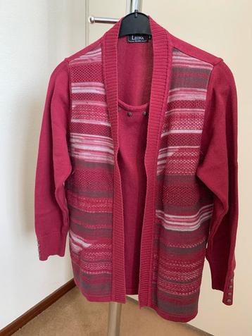 Leona Vest/Trui Rood Maat L beschikbaar voor biedingen