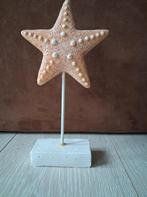 Strand thema beeld zeester pasteloranje, Noekies.com, Zo goed als nieuw, 3181PN, Info@noekies.com