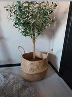 Kunst olijfboom 110 cm in jute mand, Ophalen of Verzenden, Zo goed als nieuw, Binnen