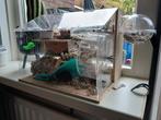 Hamstertransportkooi, Ophalen of Verzenden, Zo goed als nieuw