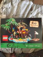 Lego 40566 nieuw ray the castaway, Kinderen en Baby's, Speelgoed | Duplo en Lego, Ophalen of Verzenden, Complete set, Lego