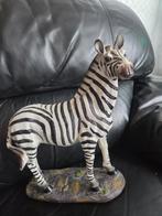 Zebra Beeld, Ophalen of Verzenden, Zo goed als nieuw, Dier