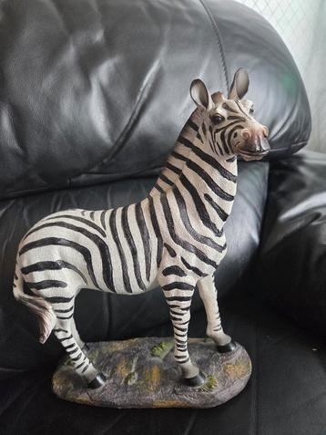 Zebra Beeld  beschikbaar voor biedingen