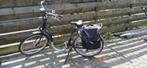Sparta extra lage instap, Sparta, Gebruikt, Ophalen of Verzenden, Minder dan 47 cm