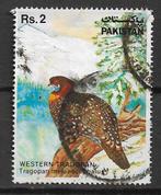 Pakistan 1981 Millieubescherming vogel zwartkapsaterhoen, Postzegels en Munten, Postzegels | Azië, Verzenden, Zuid-Azië, Gestempeld