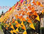 Vlaggetjes oranje 10 meter! €0,90 per stuk., Hobby en Vrije tijd, Feestartikelen, Ophalen of Verzenden, Nieuw, Versiering, Oranje of Koningsdag