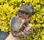 rolbenen mammoet fossiel, Verzamelen, Mineralen en Fossielen, Ophalen of Verzenden, Fossiel