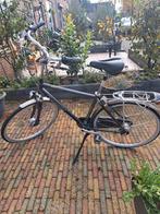 Prachtige gazelle met 8 versnellingen, Ophalen, Gebruikt, Versnellingen, 49 tot 53 cm