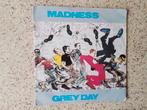 Izgs Singel Madness,Grey Day uit 1981, Ophalen of Verzenden, Gebruikt, Pop