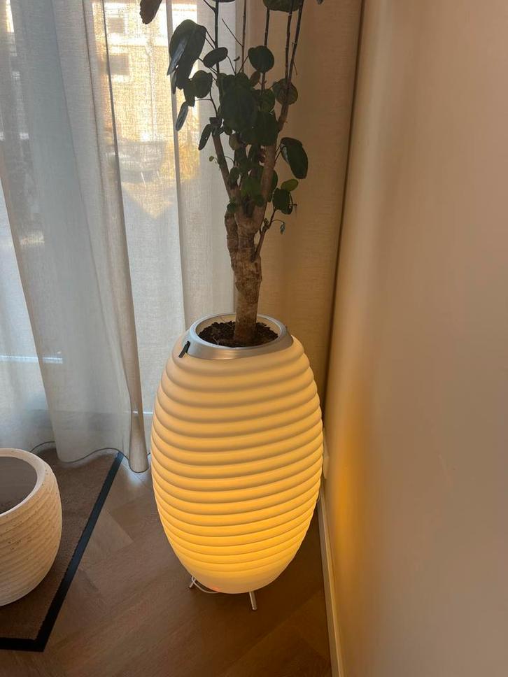 Koduu Synergy 65S Speaker met Verlichting & Wijnkoeler, Huis en Inrichting, Lampen | Vloerlampen, Zo goed als nieuw, Minder dan 100 cm