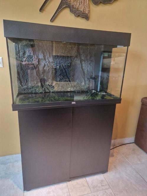 Aquarium Juwel, Dieren en Toebehoren, Vissen | Aquaria en Toebehoren, Gebruikt, Leeg aquarium, Ophalen