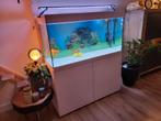 Mooi wit aquarium met meubel 120x140, Dieren en Toebehoren, Vissen | Aquaria en Toebehoren, Ophalen of Verzenden, Zo goed als nieuw