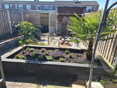 Tuinhulp aangeboden ( Regio Nijmegen ), Tuin en Terras, Tegels en Klinkers, Nieuw, Terrastegels, Beton, 10 m² of meer, Ophalen