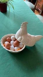 Kip wit, voor eieren, decoratie,, Ophalen
