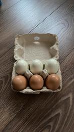 Houten eieren kinderkeuken, Ophalen of Verzenden, Zo goed als nieuw