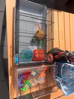 Hamsterkooi, Kooi, Minder dan 75 cm, Minder dan 60 cm, Gebruikt